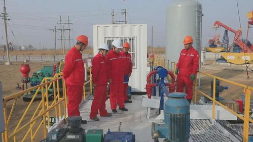 外媒聚焦中國(guó)油田“孤島廠側(cè)鉆”技術(shù) 管理升級(jí)盤(pán)活資產(chǎn)，資產(chǎn)管理邁向新高度